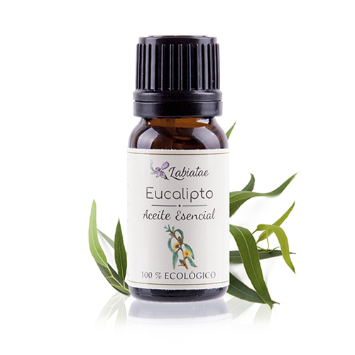 Aceite esencial de eucalipto