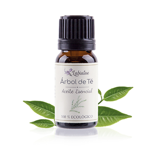 Aceite esencial de árbol del té